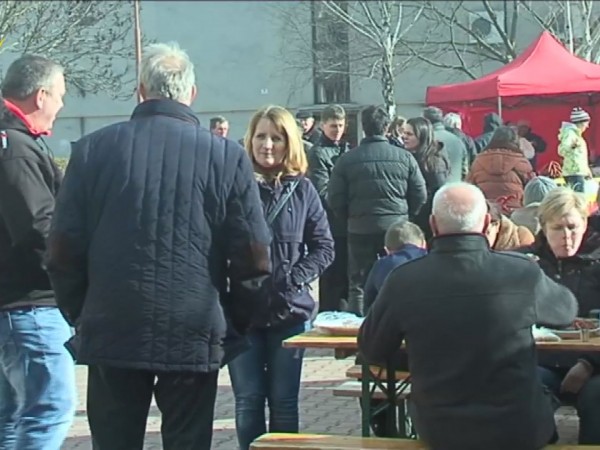 Obecná zabíjačka (25.2.2017)