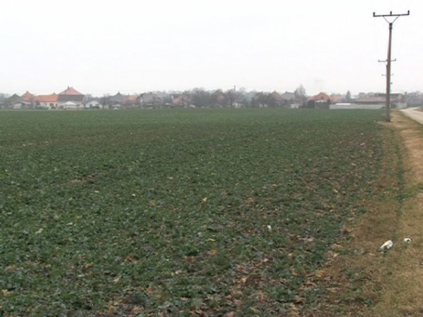 Usporiadanie užívacích vzťahov k pozemkom v náhradnom užívaní