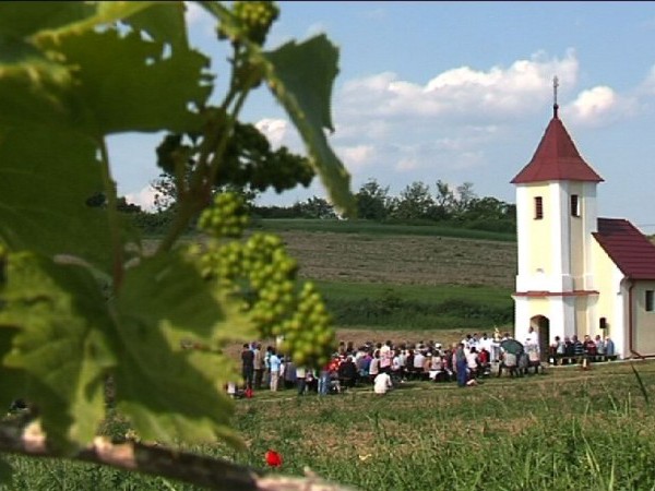 Oslava sviatku sv. Urbana