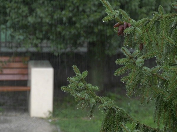 rýchle správy z 11.9.2019