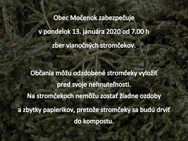 Zber vianočných stromčekov
