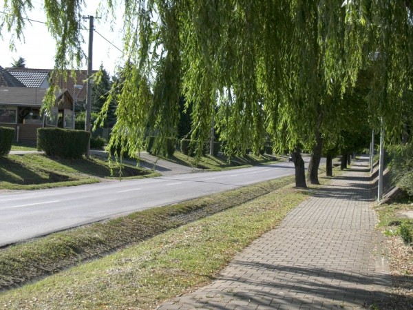 Sociálny podnik obce Močenok