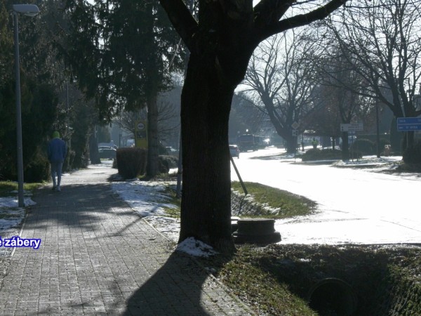 Aktuálne opatrenia - Január 2021