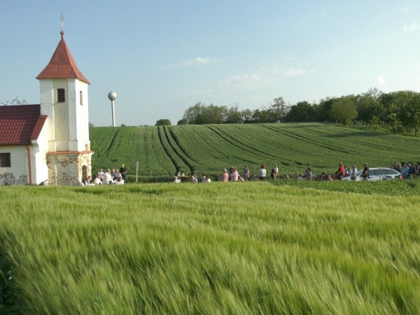 Omša vo vinohradoch