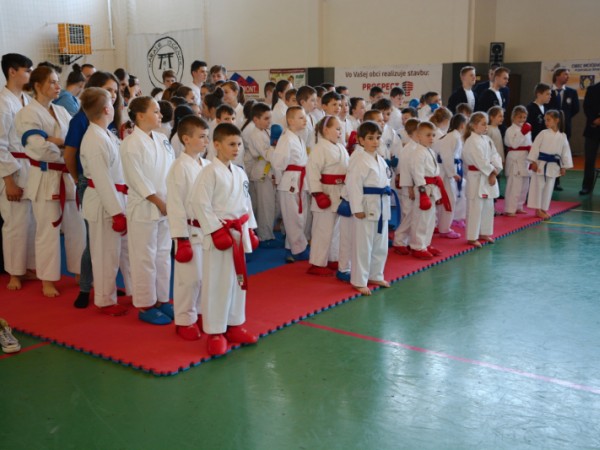 Domáci karatisti úspešní na súťaži na domácej pôde