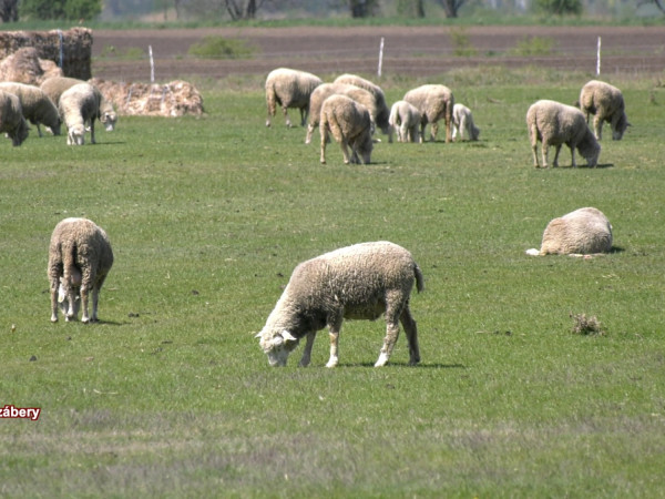 Rýchle správy 26.3.2025
