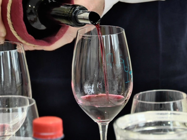 Odborná degustácia vín 2025