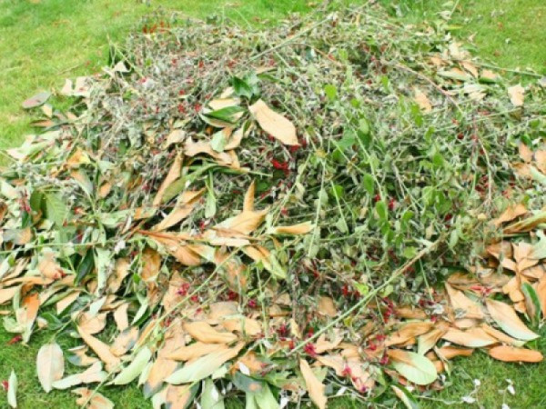 Zberný dvor na zelený odpad bude v sobotu 1. novembra ZATVORENÝ