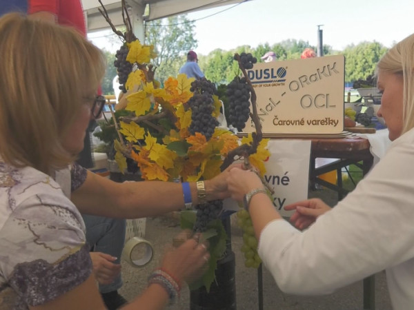 Súťaž vo varení gulášov a Športový deň Duslo a VUCHT 2025