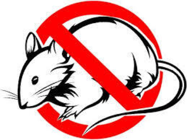 Jarná celoplošná deratizácia v období od 23.03.2026 do 18.05.2026