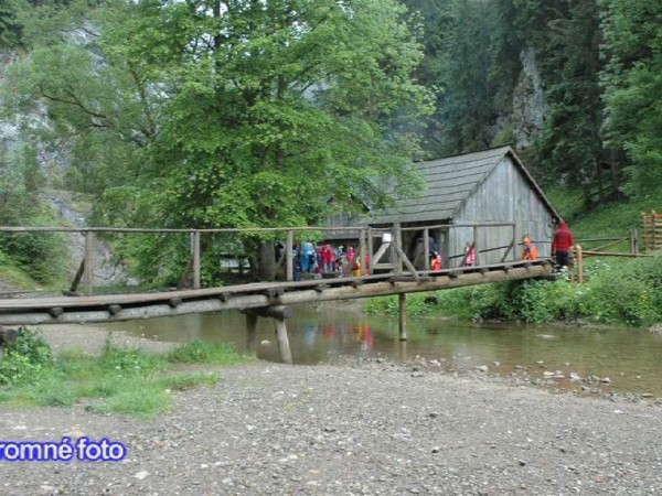 Škola v prírode