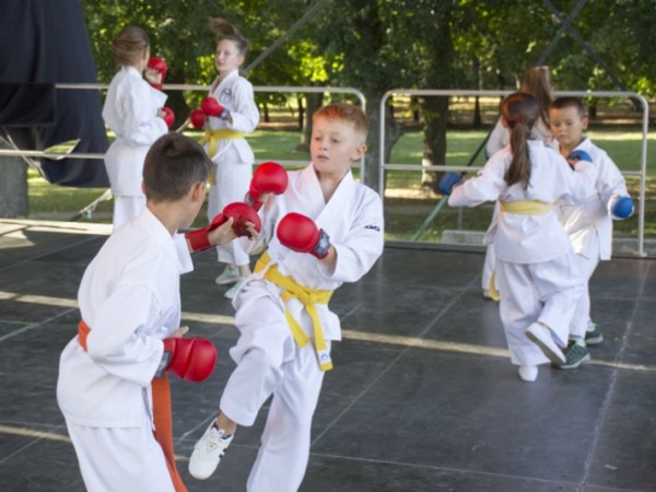 Dni obce 2019  - 13 karate